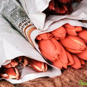 Мартовские снегопады были самыми интенсивными с начала года в Приморье