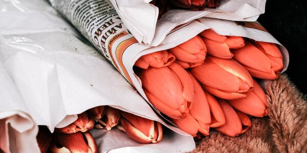 8 марта в Приморье существенных осадков не ожидается