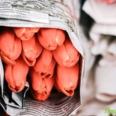 Мартовские снегопады были самыми интенсивными с начала года в Приморье
