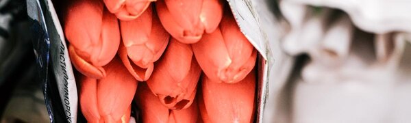 8 марта порадует приморцев хорошей погодой