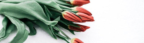 Мартовские снегопады были самыми интенсивными с начала года в Приморье