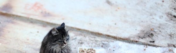 Во второй половине недели осадки в Приморье прекратятся, похолодает