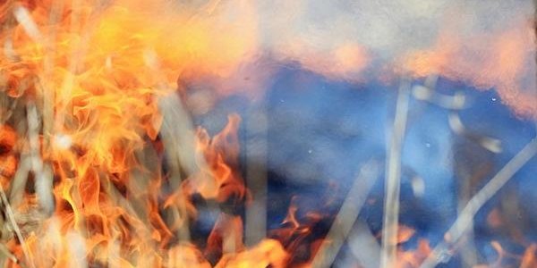 Особый противопожарный режим введён в Приморье