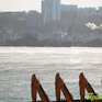 Приморье накрыли морозы, в некоторых районах пройдёт снег