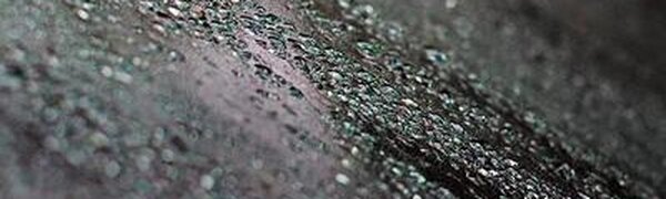 Дождливая погода сохранится в Приморье до воскресенья