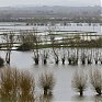 Серия торнадо пронеслась по югу Великобритании