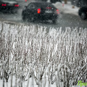 На Приморье обрушился циклон