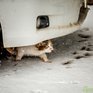 МЧС Приморья просит жителей края не выезжать на дороги без надобности