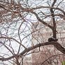 Завтра в Приморье ожидается ухудшение погодных условий