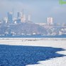 Чем дышал Владивосток с 1 по 10 декабря?