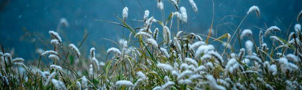 На севере Приморья этой ночью прошёл первый снег