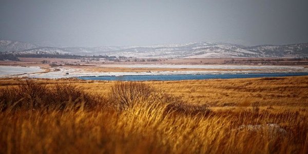 В Приморье сохранятся сильный ветер и холод
