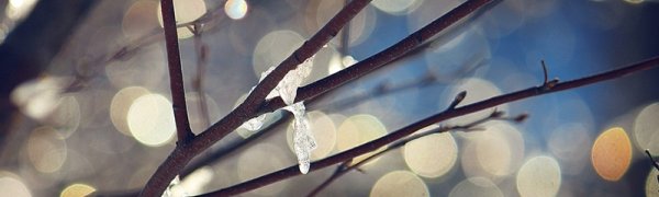 Вечером 8 марта во Владивостоке вероятны небольшие осадки