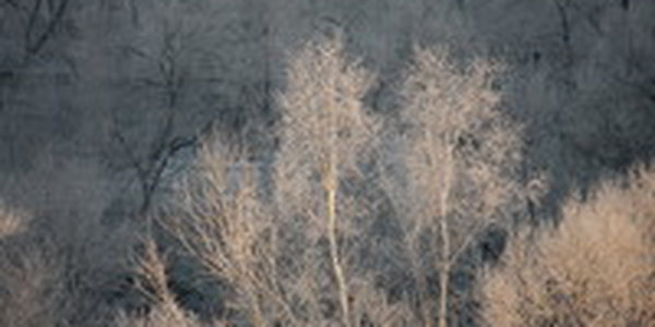 Утренний Владивосток превратился в царство инея