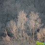 Утренний Владивосток превратился в царство инея