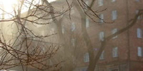 Приморцев ждут теплые выходные