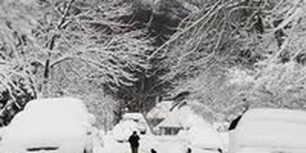 Снегопад «запер» американцев дома