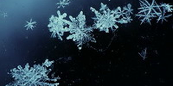 Снег постепенно охватывает Дальний Восток