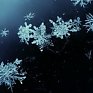 Снег постепенно охватывает Дальний Восток