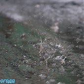 Владивосток: Весна в феврале(ФОТО) 