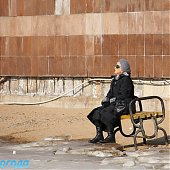 Владивосток: Весна в феврале(ФОТО) 