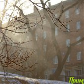 Владивосток: Весна в феврале(ФОТО) 