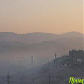 Владивосток: Весна в феврале(ФОТО) 
