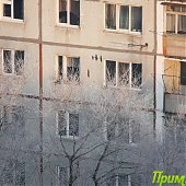 Владивосток: Весна в феврале(ФОТО) 