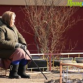 Владивосток: Весна в феврале(ФОТО) 