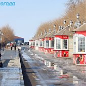 Владивосток: Весна в феврале(ФОТО) 