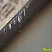 Владивосток: Весна в феврале(ФОТО) 