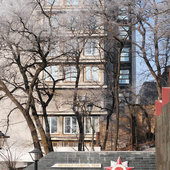 Утренняя изморозь. А вы сегодня изумились?(ФОТО)