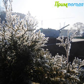 Утренняя изморозь. А вы сегодня изумились?(ФОТО)