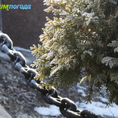 Утренняя изморозь. А вы сегодня изумились?(ФОТО)