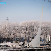 Утренняя изморозь. А вы сегодня изумились?(ФОТО)