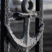 Утренняя изморозь. А вы сегодня изумились?(ФОТО)