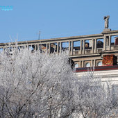 Утренняя изморозь. А вы сегодня изумились?(ФОТО)