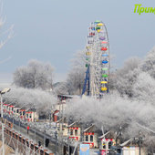 Утренняя изморозь. А вы сегодня изумились?(ФОТО)