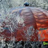 Утренняя изморозь. А вы сегодня изумились?(ФОТО)