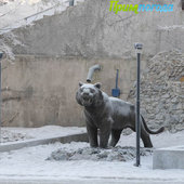 Утренняя изморозь. А вы сегодня изумились?(ФОТО)