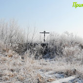 Утренняя изморозь. А вы сегодня изумились?(ФОТО)