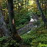 Природа Приморья. Летними дорогами