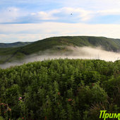 Природа Приморья. Летними дорогами