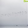 Природа Приморья. Летними дорогами