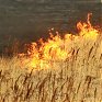 Противопожарный режим введен в восьми муниципалитетах Приморья