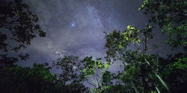 NASA рассказали, когда найдут внеземную жизнь