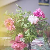 Поднимаем настроение: Пионы
