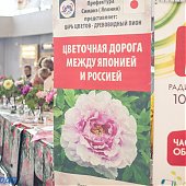 Поднимаем настроение: Пионы