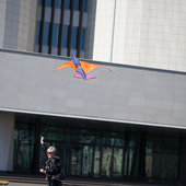 Фестиваль воздушных змеев
