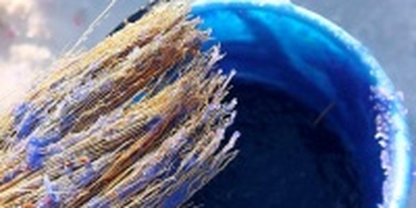 Во Владивостоке прошла уникальная арт-акция «Золотая рыбка» (ФОТО)